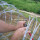 Razor Wire Fence-Concertina Coil Typ